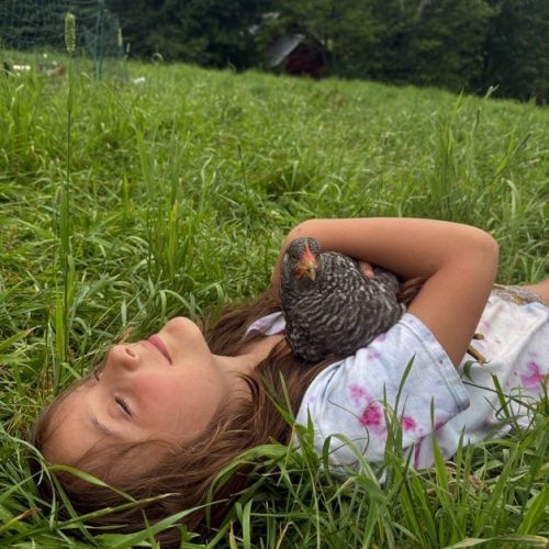 98d497b0-9841-4100-bce9-8a2a2aa0d9c3 (1)